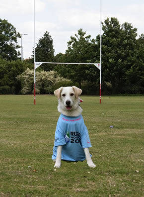 Troy is ready to show his rugby skills 