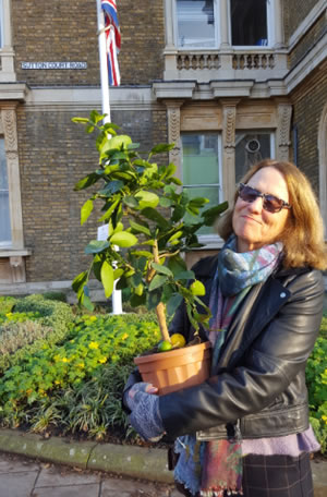 cheryl lanyon with her prize of a lime Tree 