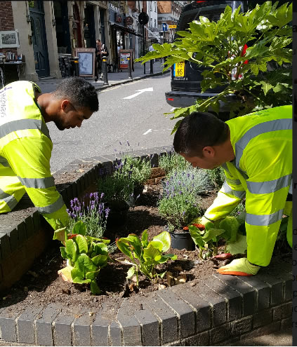 planting flower beds on High Road