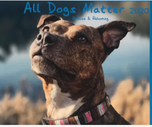 image of dog on charity calendar 