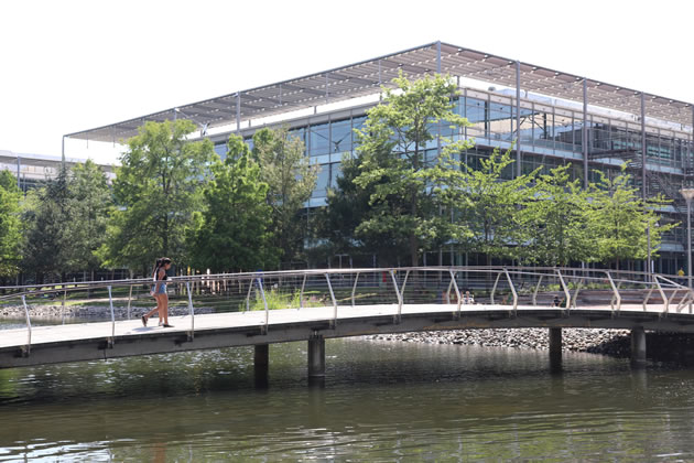 The lake at Chiswick Business Park