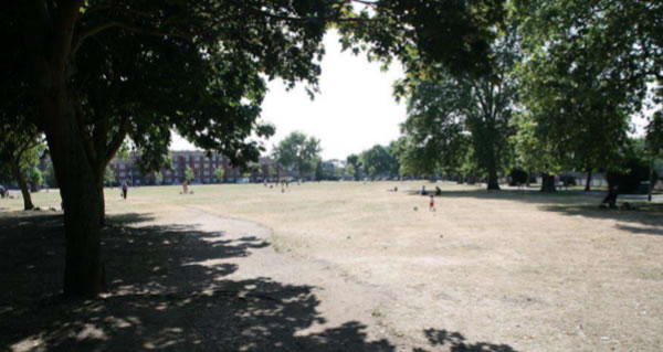 chiswick back common large pic