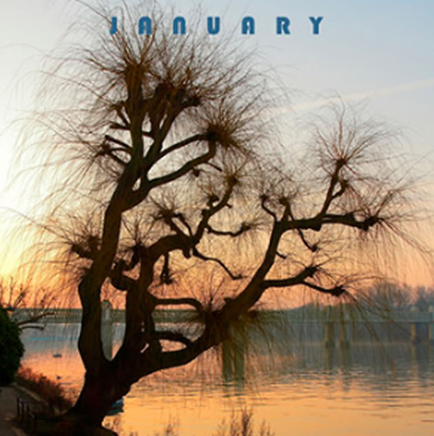 january image of trees from chiswick calendar