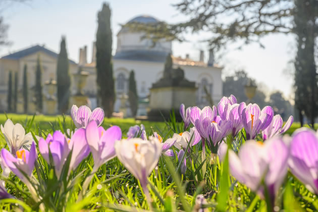 15,000 Bulbs Bloom at Chiswick House Gardens