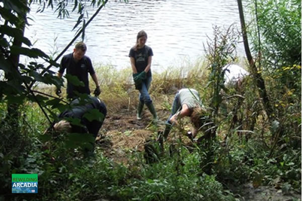 Over 395,000 hours of volunteer conservation work due to partnership