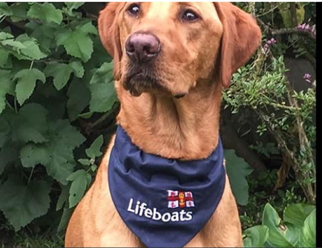 Hugo wearing Lifeboats bandana from Mark Turrell