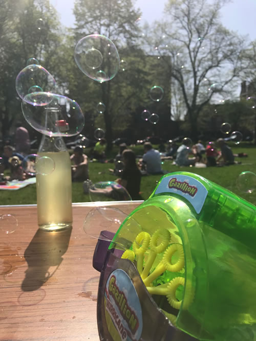 earthday picnic image of bubbles 