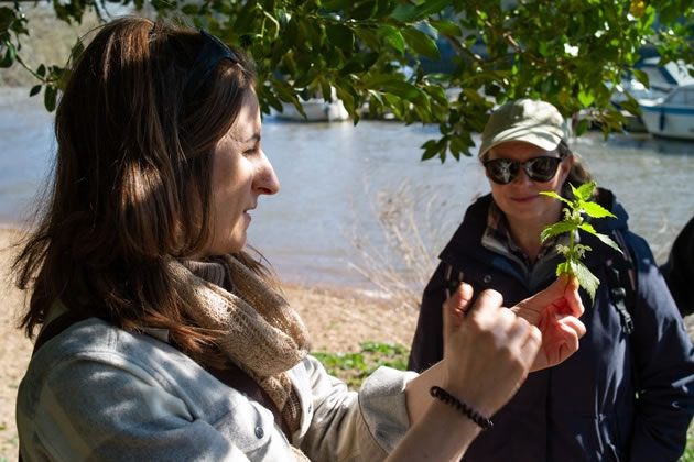 Riverside walk will be guided by foraging expert Gemma Hindi of Earthwild