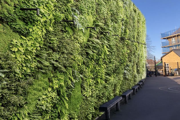 a green wall in a playground to absorb pollution 