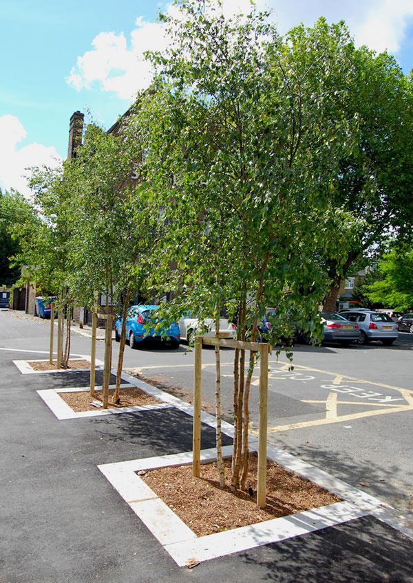 trees planted in grove park by the railway line 