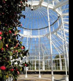 chiswick house conservatory