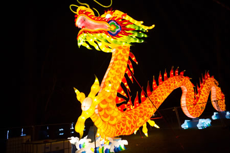 dragon at chinese festival 