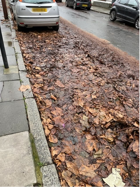 Mushy leaves and detritus on Elliott Road 