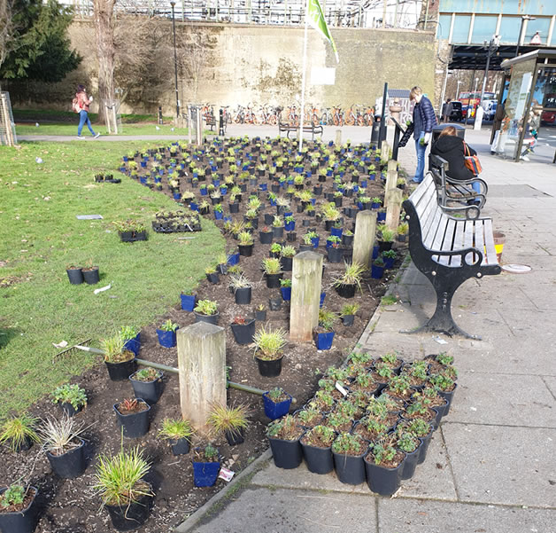 Planting starts for the Turnham Green Terrace Piazza Project