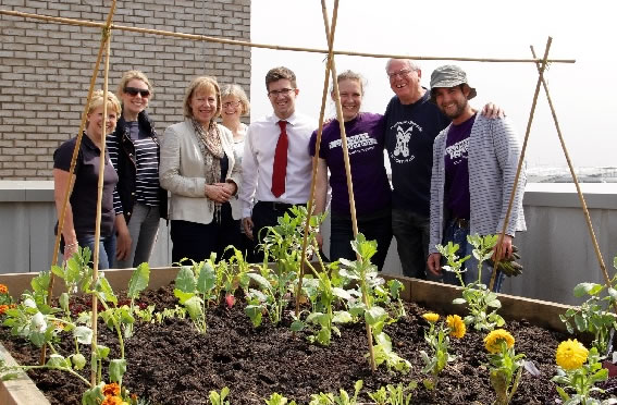 ruth cadbury MP with Cultivate London team at new roof allotments in Brentford