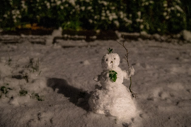 A solitary snowman stands guard