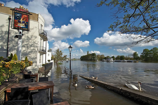 strand on the green chiswick
