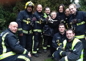 Firecrews Rescue Trapped Jack Russell