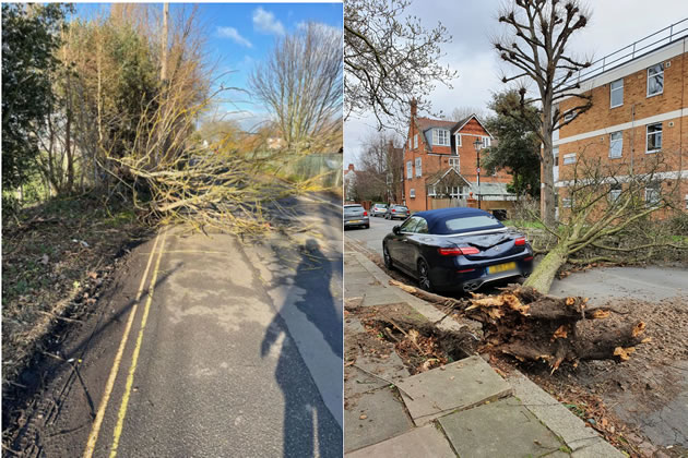 A tree down on Riverside Drive. Picture: Hounslow Highways. Right - a car is damaged by a falling tree on the Orchard. Picture: Gary Malcolm