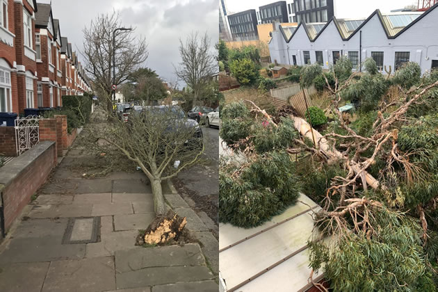 A fallen tree on Rusthall Avenue (left). A tree falls across Thornyhedge Road gardens (right) 