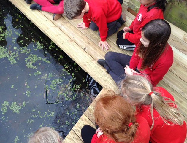 strand pupils look into a pond