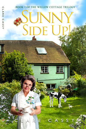 sunny side up a novel
