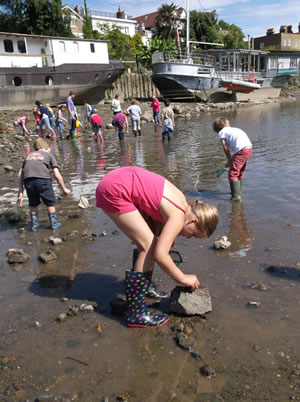 River dipping at Chiswick