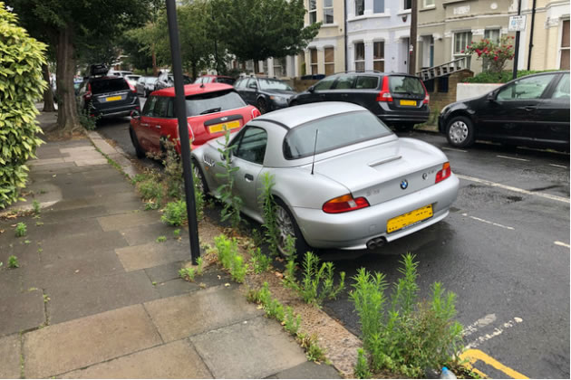 Weeds on Rothschild Road, W4 growing higher than a car 