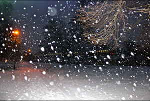 more snow in Chiswick