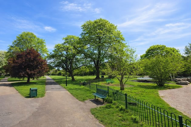 Acton Green Common by the playground 