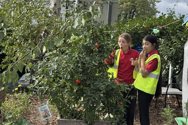 The children are connecting with nature by tending to the plants 