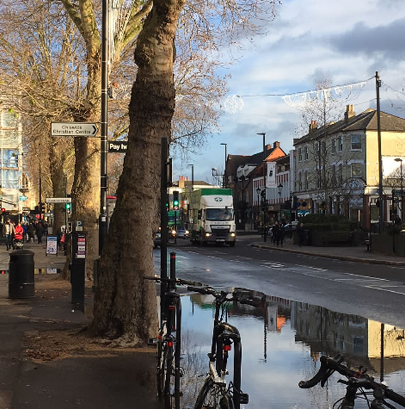 picture of the tree and flooded water main