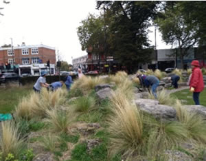 clean up at turnham green 