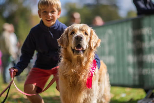 Registrations Open for Chiswick House Dog Show 
