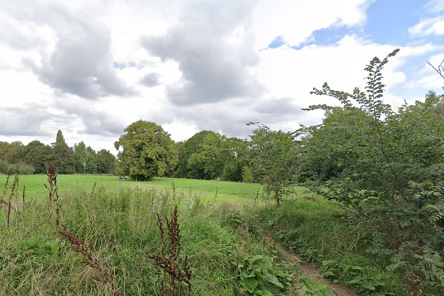 Urban parks like Dukes Meadows are an important refuge for many bird species