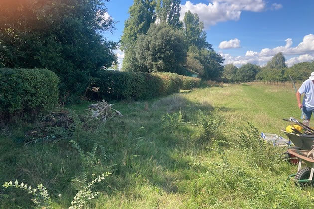 The newly cut hedge.