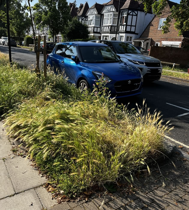 Mixed views on No Mow May 