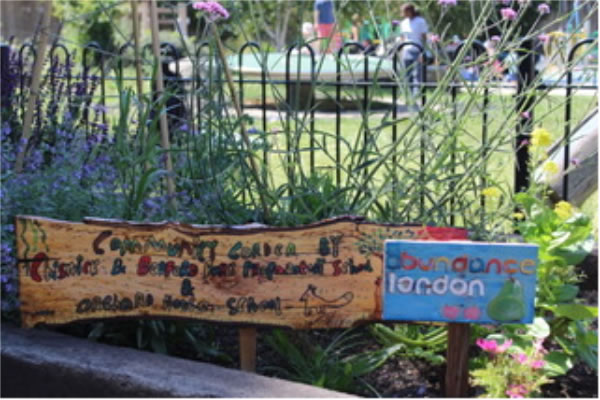 The community garden on Acton Green