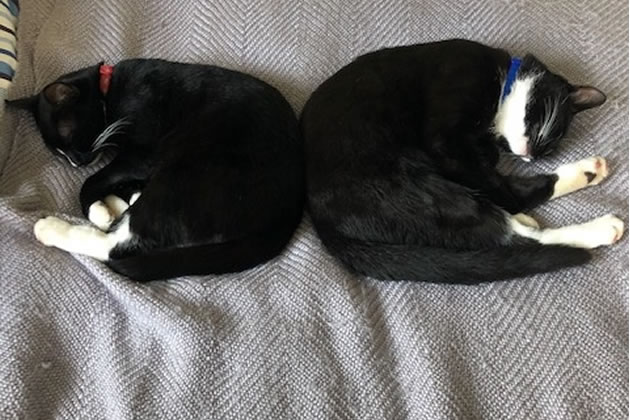 Reggie (right) with his twin brother Wilfie