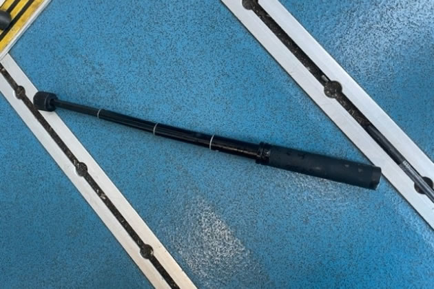 James Watson was arrested after wielding a baton